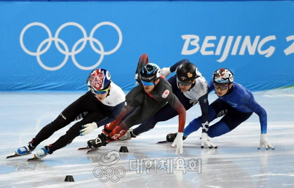 사진 - 동·하계 올림픽에서 메달을 석권한 선수들은 총 5명이다. [출처-대한체육회]